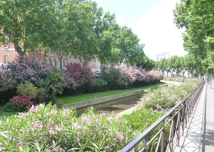 Lumineux - Centre De Apartment Perpignan